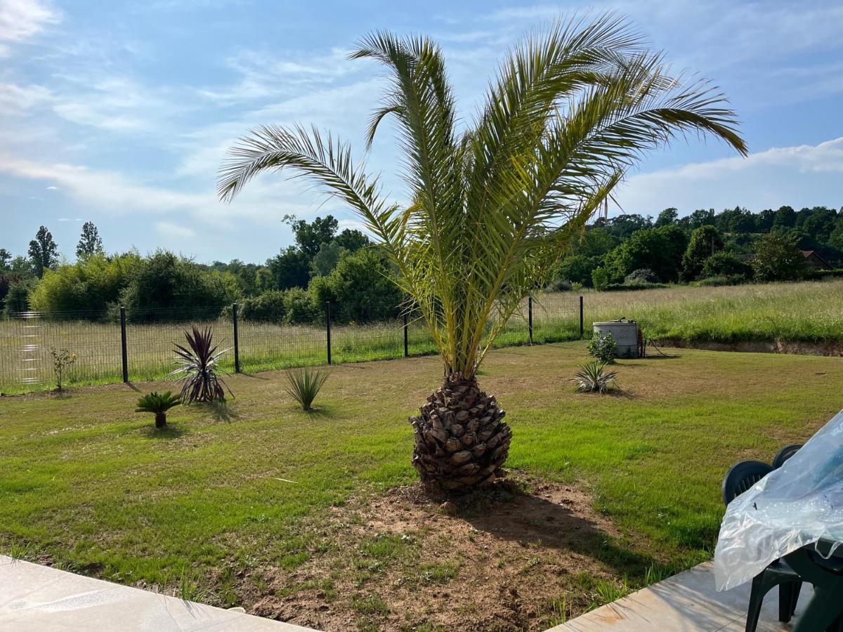 Chambre Double -Vue Sur Jardin Bergerac Extérieur photo